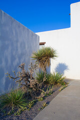 an adobe style house with a desert garden