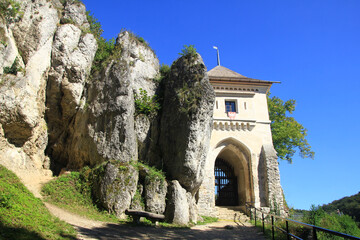 Fototapeta na wymiar Ruins of the castle in Ojcow - Ojcow National Park, Poland
