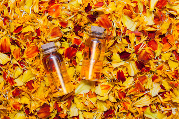 Top view bottles of oil or tincture against a background of bright orange petals. Medicinal plants...