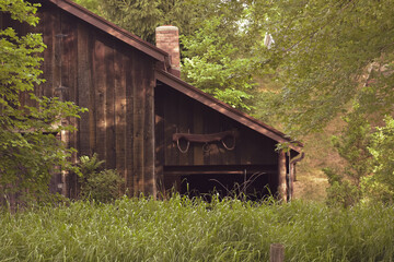 A barn nestled in the woods