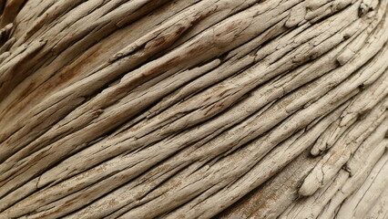 old wood background
