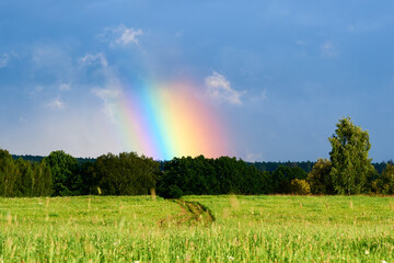 Bright rainbow column over a green field and forest. Rainbow after the rain.