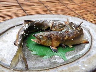 鮎