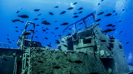 Scubadiving Shipwreck Diving