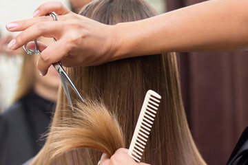 Obraz premium Womens hairdresser, beauty salon. Professional stylist cuts female hair in salon