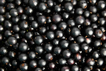 Ripe black currant berries food background