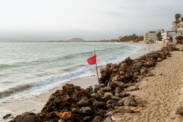Marea Roja