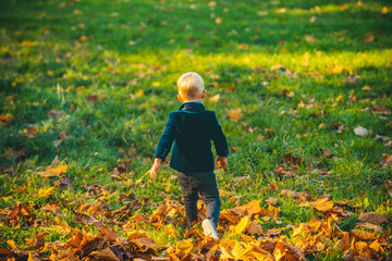 Child in autumn fall leaves on nature walk outdoors. Autumn portrait of cute little caucasian child boy.