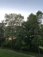 Scenic Minnesota Landscape in the Summer Time