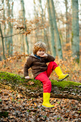 Carefree childhood. Kid in playing in autumn forest. Fall Leaves outdoor.