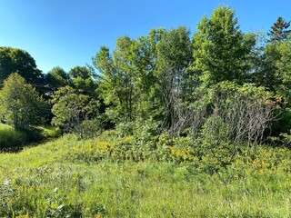 Scenic Minnesota Landscape in the Summer Time