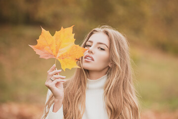 Fashion autumn portrait woman hides her face yellow maple leaves.