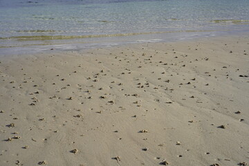 Sandstrand an der Ostsee mit Spuren von Wattwürmern