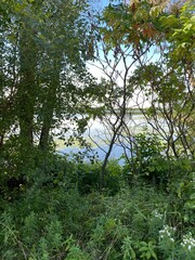 Scenic Minnesota Landscape in the Summer Time