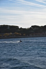 Bandol