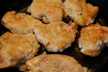 Fried chicken fillet close up.