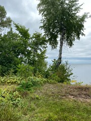 Scenic Minnesota Landscape in the Summer Time