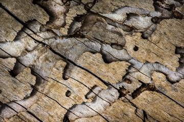 Old natural textured wooden background, wooden surface  