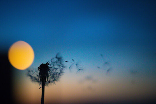 sunset in the sky