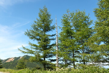 高峰高原から望む水ノ塔山	