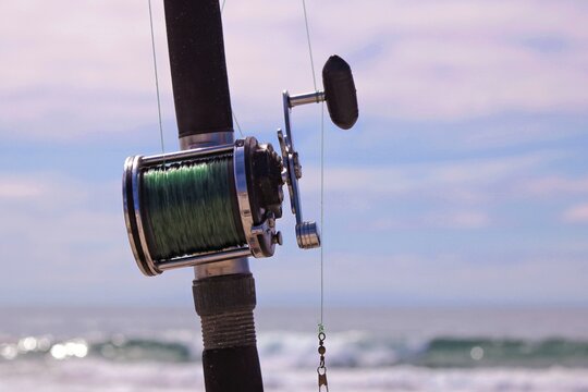 fishing rod and reel
