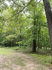 Scenic Minnesota Landscape in the Summer Time