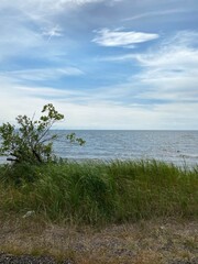 Scenic Minnesota Landscape in the Summer Time