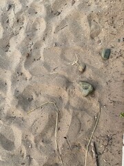 Fototapeta na wymiar Sand on a Minnesota beach in the summer time