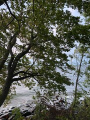 Scenic Minnesota Landscape in the Summer Time