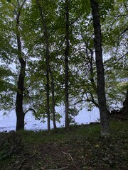 Scenic Minnesota Landscape in the Summer Time