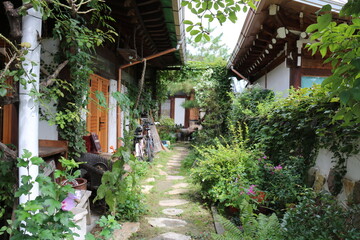 Fototapeta premium house with flowers