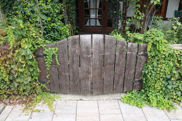 Naklejka premium old wooden door