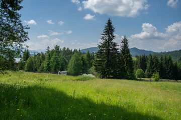 Relaxation area Tihuța Retreat from Piatra Fântânele  near Dracula's castle,Bistrita, Romania, 2020