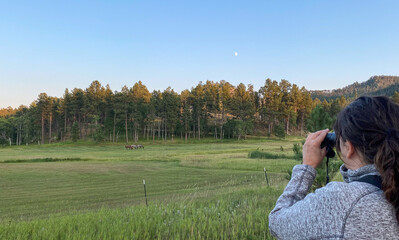 woman binoculars horses in valley sunset moon
