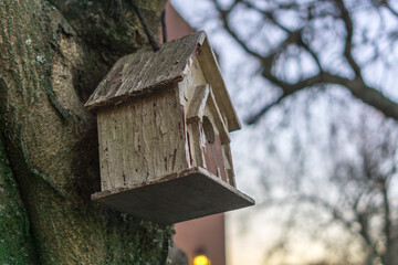 Birdhouse on the tree at sunset