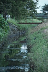 Fototapeta premium 田舎の用水路