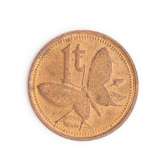 パプアニューギニアの硬貨