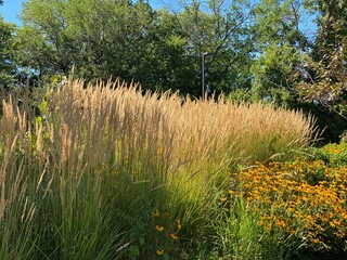 Fototapeta premium Scenic Minnesota Landscape in the Summer Time