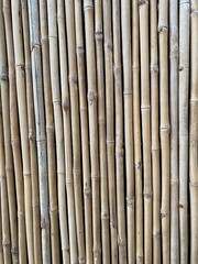 Tall Bamboo Fence