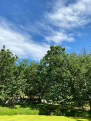 Scenic Minnesota Landscape in the Summer Time