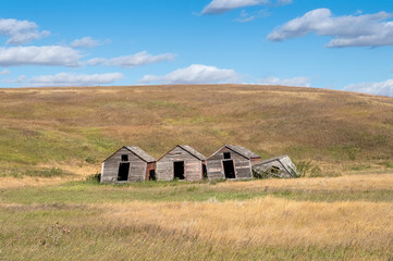 Fototapeta na wymiar Old pigsty on the prairie at Sharples, Alberta, Canada
