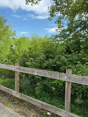 Fototapeta premium Scenic Minnesota Landscape in the Summer Time