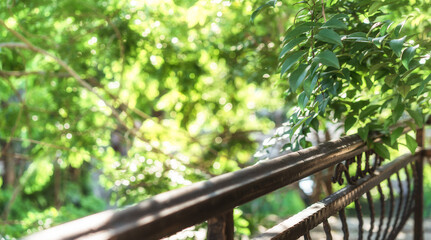 Outdoor balcony railings and green trees
