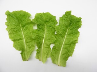 サンチュ