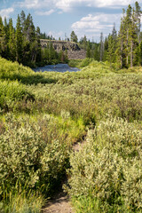 Sheepeater Cliff in Yellowstone National Park, with the Yellowstone River and grasses
