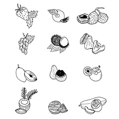 Hand Drawing of Thai Fruit Doodle Vector Set
