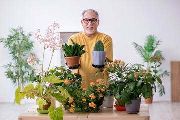 Old male gardener with plants indoors