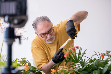 Old male gardener with plants indoors