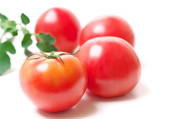 Tomatoes Dishes Vegetables