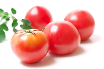 Tomatoes Dishes Vegetables